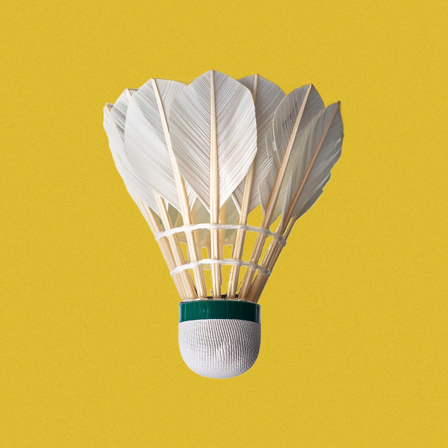 SHUTTLECOCK